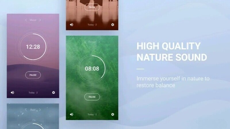 599c69565620251118181528