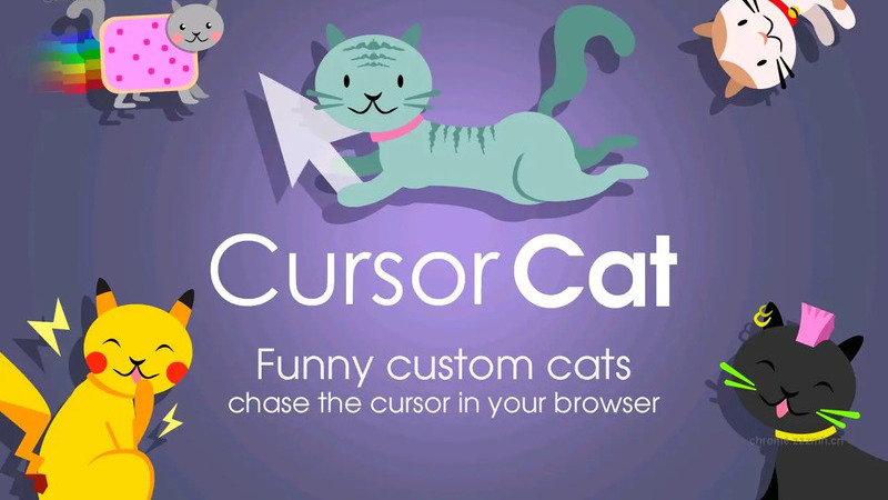 e8e5df7f3720251117175416