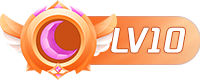 等级-LV10-R次元