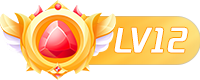 等级-LV12-R次元