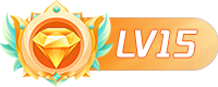 LV15 等级-LV15-R次元