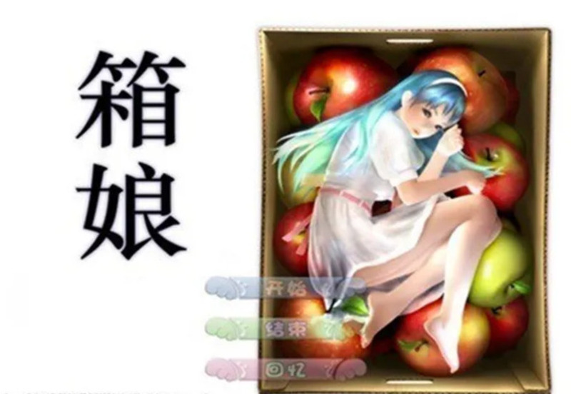 《3D箱娘》简体中文版-R次元